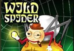 Wild Spider Pokie Logo