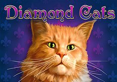 Diamond Cats Pokie Logo