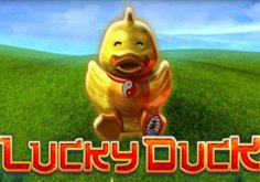 Lucky Duck Pokie Logo
