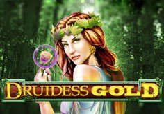 Druidess Gold Pokie Logo
