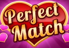 Perfect Match Pokie Logo