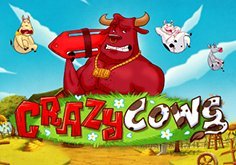 Crazy Cows Pokie Logo