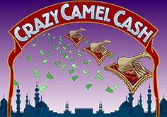Crazy Camel Cash Pokie Logo