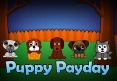 Puppy Payday Pokie Logo