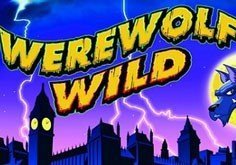 Werewolf Wild Pokie Logo