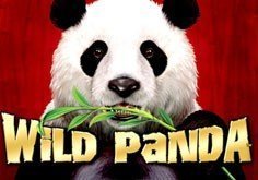 Wild Panda Pokie Logo