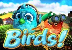 Birds Pokie Logo
