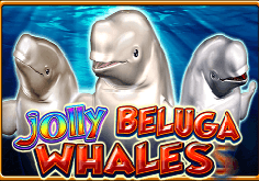 Jolly Beluga Whales Pokie Logo
