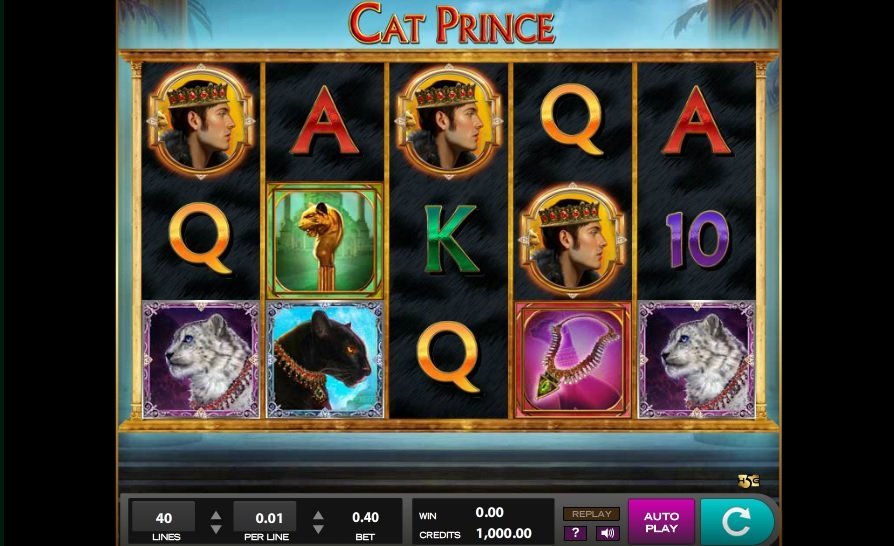 Kočičí princ Pokie