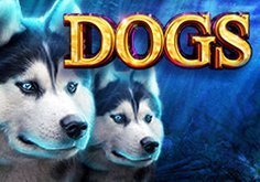 Dogs Pokie Logo