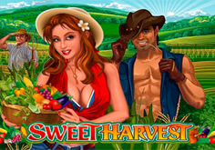Sweet Harvest Pokie Logo