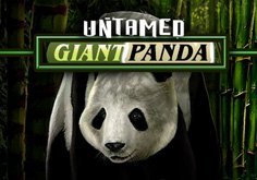 Untamed Giant Panda Pokie Logo