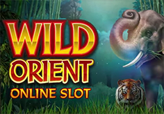 Wild Orient Pokie Logo