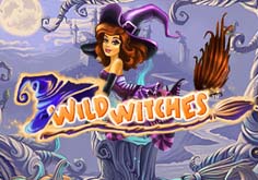 Wild Witches Pokie Logo