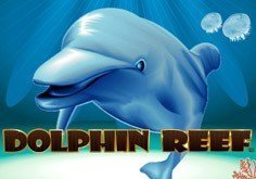Dolphin Reef Pokie Logo