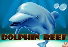 Dolphin Reef Pokie Logo