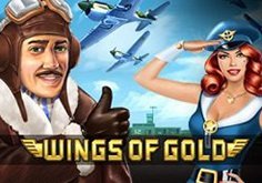Wings Of Gold Pokie Logo