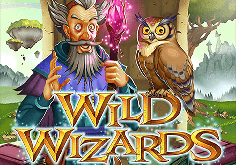 Wild Wizards Pokie Logo