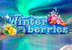 Winterberries Pokie Logo
